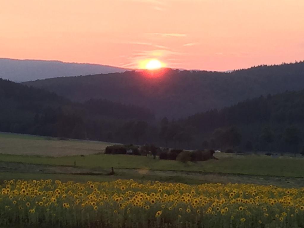 Ferienwohnung Sauerlandblick Goldhausen エクステリア 写真